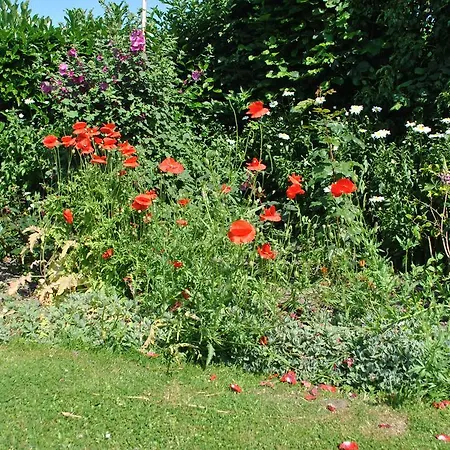 D'hotes La Tribu 3* Quévreville-la-Poterie