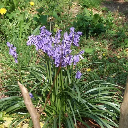 B&B D'hotes La Tribu