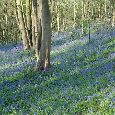 D'hotes La Tribu B&B Quévreville-la-Poterie