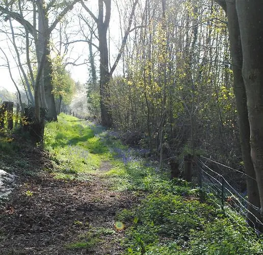 Bed & Breakfast D'hotes La Tribu Quevreville-la-Poterie