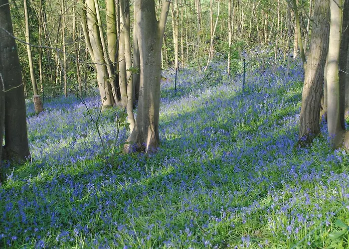 D'hotes La Tribu Bed & Breakfast Quevreville-la-Poterie